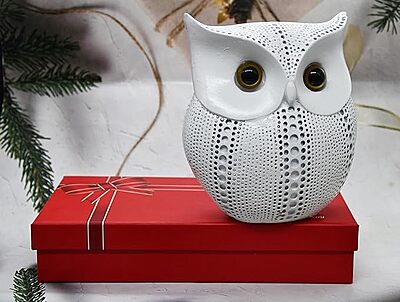 Wisdom Owl Showpiece – Symbol of Knowledge & Wealth Wisdom Owl Showpiece – Symbol of Knowledge & Wealth